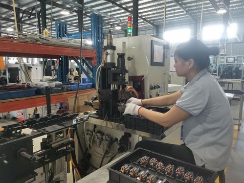 科技創(chuàng)新為電機(jī)產(chǎn)業(yè)蓄勢(shì)賦能——江華的探索與實(shí)踐