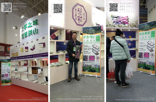 時(shí)空印·科技賦能農(nóng)業(yè) 記第28屆中國(guó)食品博覽會(huì)上的科技中介服務(wù)新范式